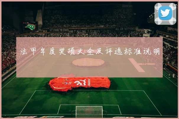 法甲年度奖项大全及评选标准说明