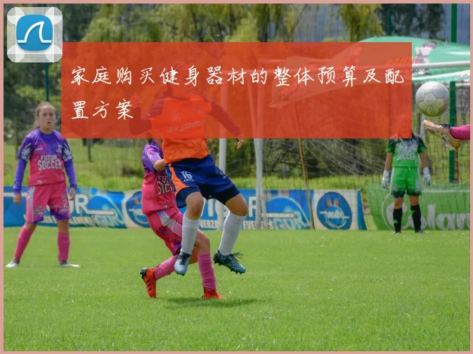 家庭购买健身器材的整体预算及配置方案