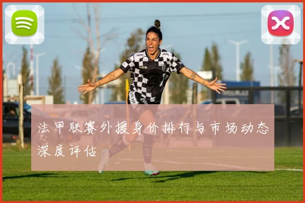 法甲联赛外援身价排行与市场动态深度评估