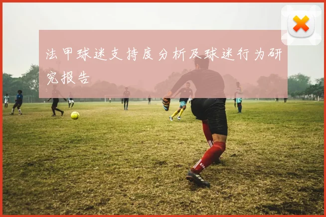 法甲球迷支持度分析及球迷行为研究报告